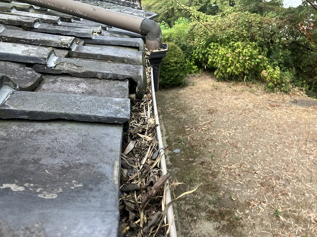 横樋に詰まった葉っぱ